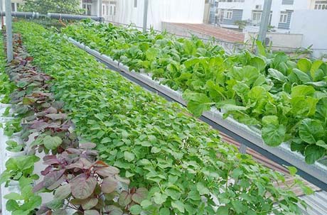 Phương pháp chống nóng cho mái tôn - Ảnh 10. Phương pháp chống nóng cho mái tôn - Ảnh 10.